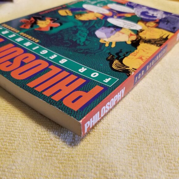 Philosophy for beginners paperback book - Picture 6 of 9